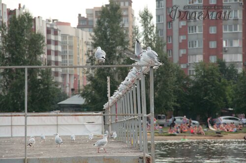 IMG_9026